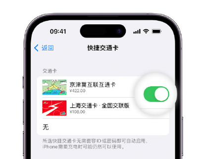 寮步镇apple维修点分享iPhone上更换Apple Pay快捷交通卡手绘卡面 