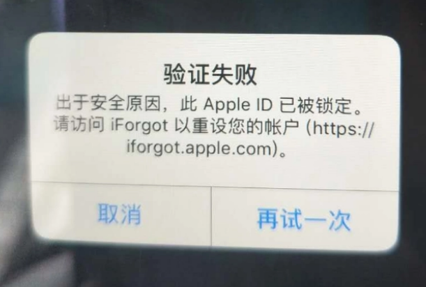 寮步镇iPhone维修分享iPhone上正常登录或使用AppleID怎么办 