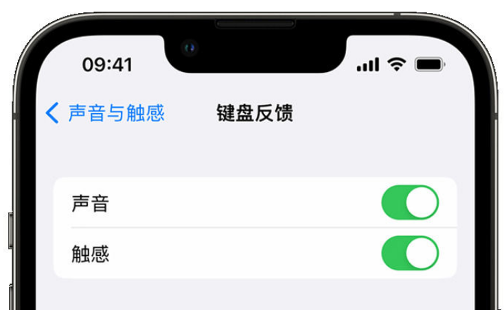 寮步镇苹果手机维修分享iPhone 14触感键盘使用方法 