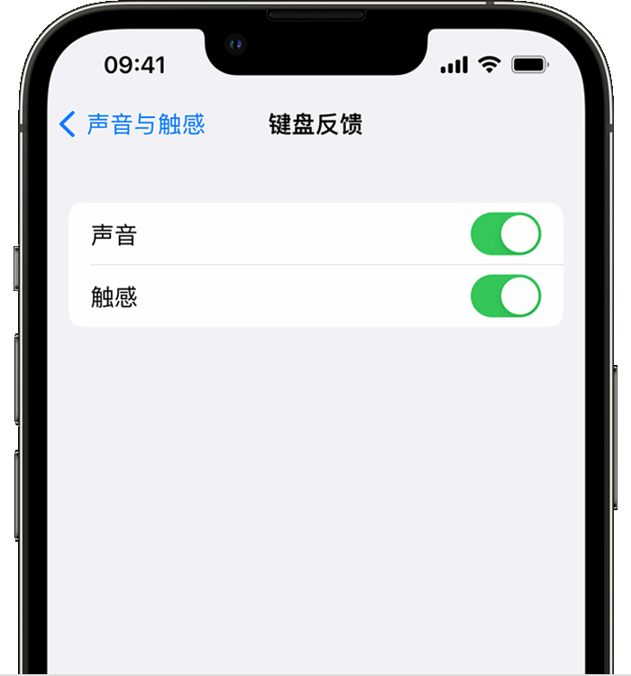 寮步镇苹果14维修店分享如何在 iPhone 14 机型中使用触感键盘 