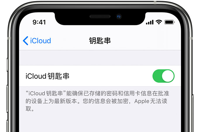 寮步镇苹果手机维修分享在 iPhone 上开启 iCloud 钥匙串之后会储存哪些信息 