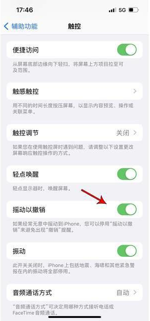 寮步镇苹果手机维修分享iPhone手机如何设置摇一摇删除文字 